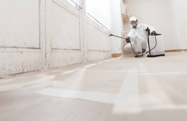 24/7 Emergency Mold Removal experts in Union, MI