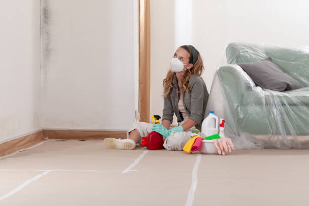 Reliable Mold Removal contractor in Union, MI by Mold Remediation HQ